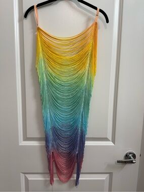 Rainbow Ombre Fringe swim dress coverup icon swim